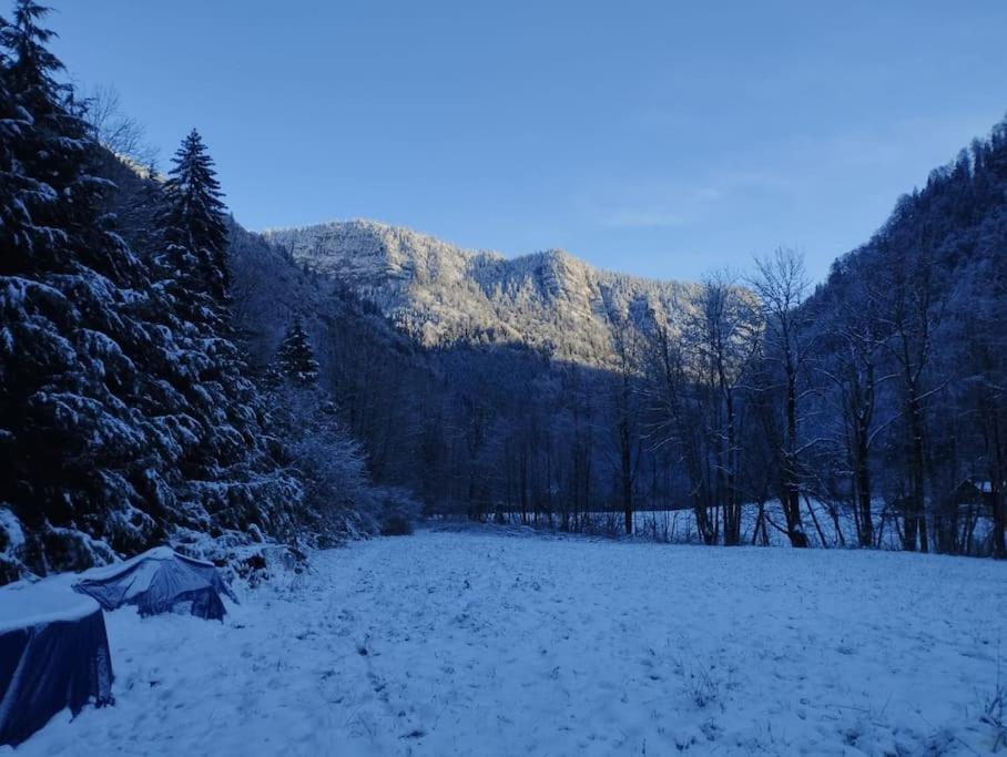 Chalet 8 Personnes + Grand Terrain Et Riviere Entremont Екстер'єр фото
